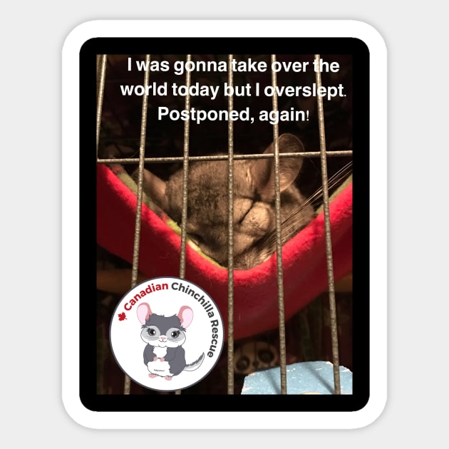 Chinchilla take over the world Sticker by canchinrescue